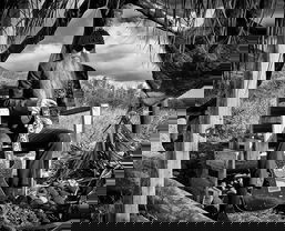 Billy Gibbons and The BFG's