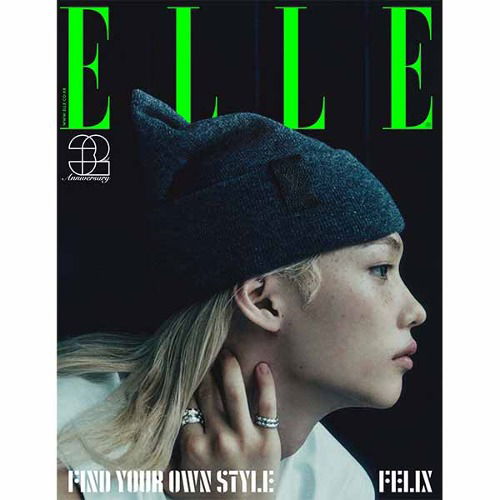 Elle: STRAY KIDS Felix November 2024: Type D-