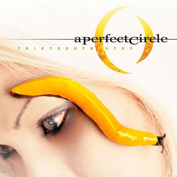 A Perfect Circle: Thirteenth Step-600753485996