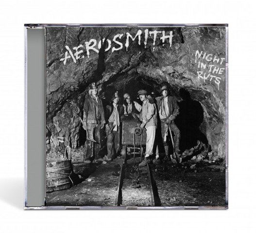 Aerosmith: Night In The Ruts (Remastered)-602455099839