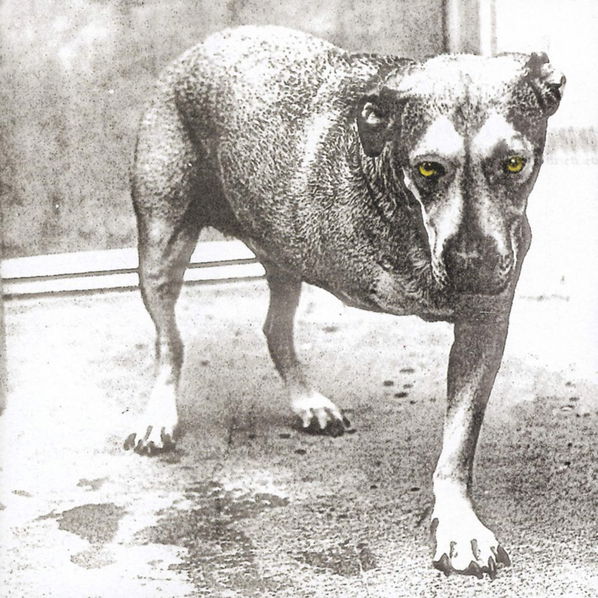 Alice In Chains: Alice In Chains-5099748111425