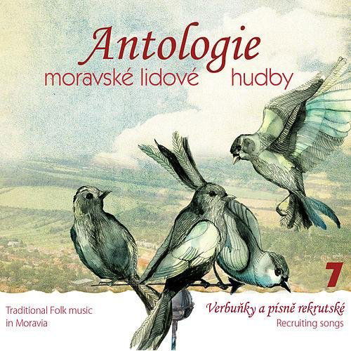 Antologie moravské lidové hudby 7-8595026656123