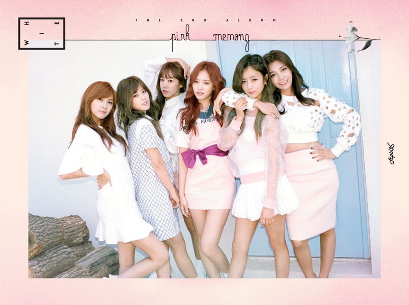 Apink: Pink Memory (White Version)-8804775063541