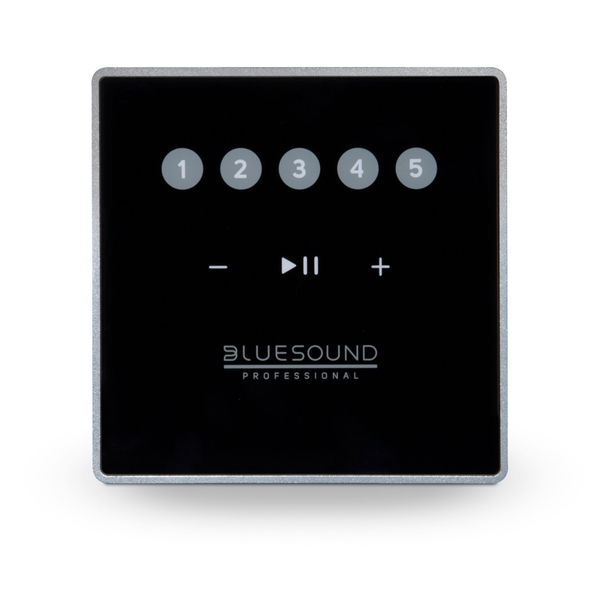 Bluesound Professional CP100-786357000640