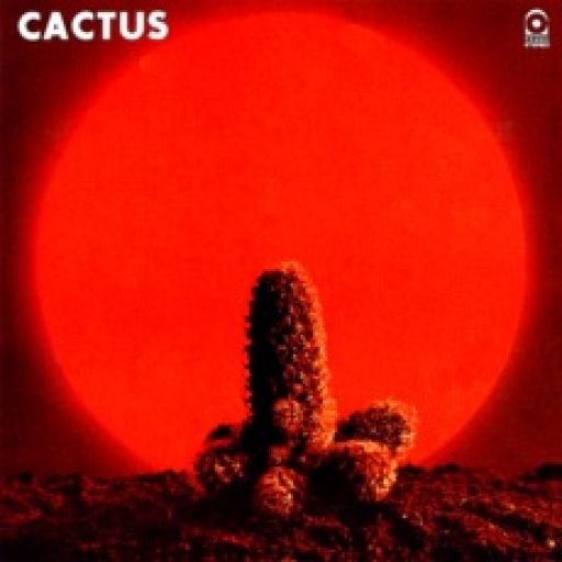 Cactus: Cactus-8719262001305