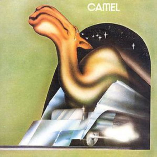 Camel: Camel-42288292524