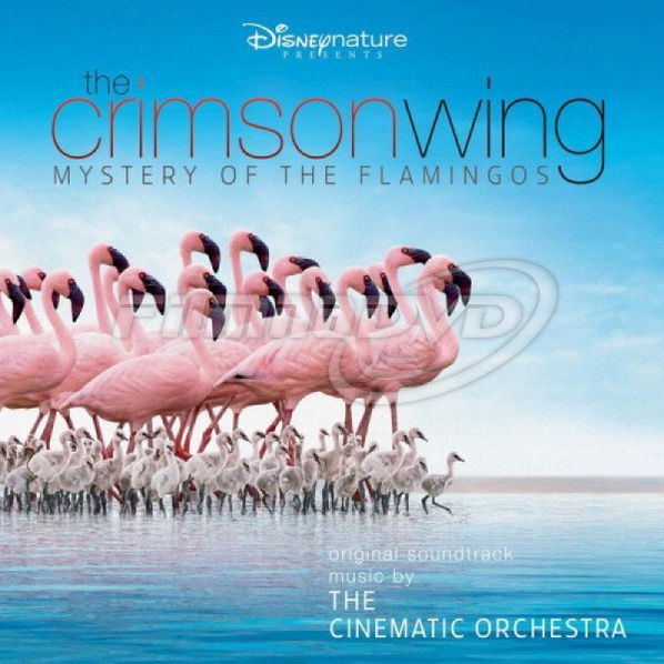 Cinematic Orchestra: The Crimson Wing: Mystery of the Flamingos-5099926656922