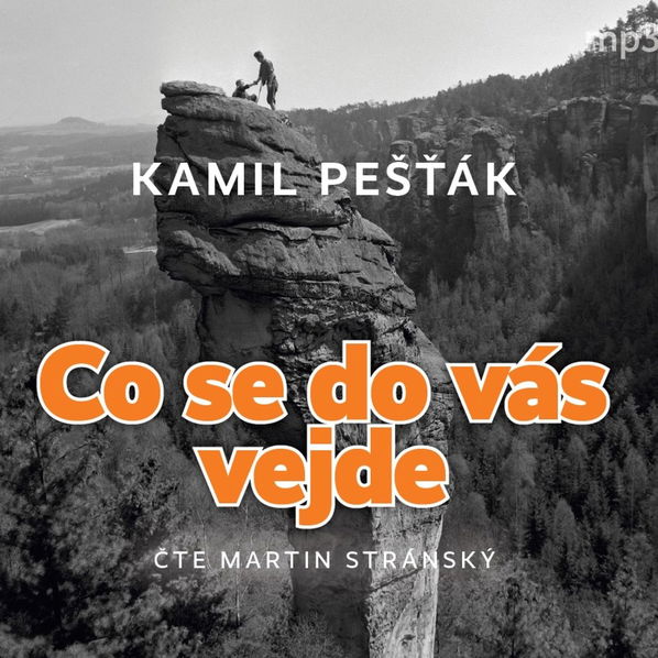 Co se do vás vejde (Pešťák - Stránský Martin)-8594177770580