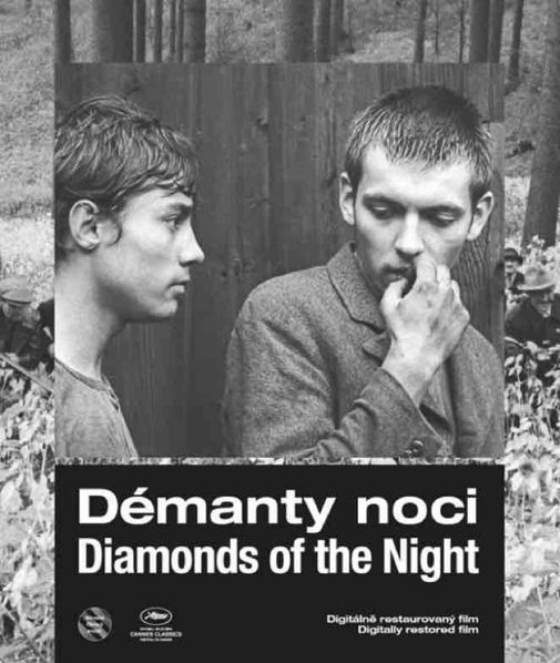 Démanty noci-8594171151194