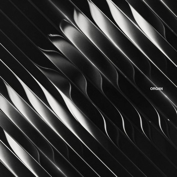 Dimension: Organ-190296805714