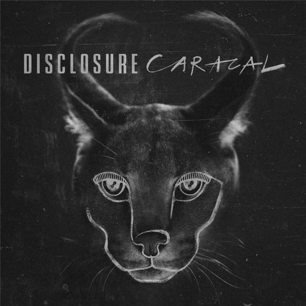 Disclosure: Caracal-602547441720