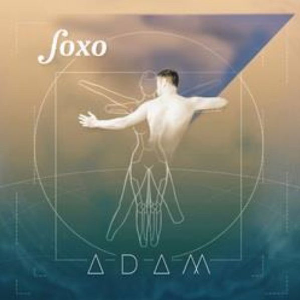 FoXo: Adam-8594030603116