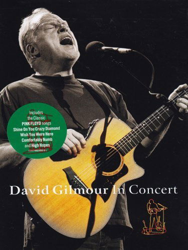 Gilmour David: David Gilmour in Concert: Live At The Festival Hall-724349295896