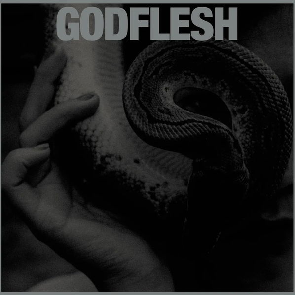 Godflesh: Purge-803341588448