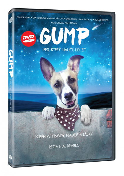 Gump - Pes, který naučil lidi žít-8595165382136