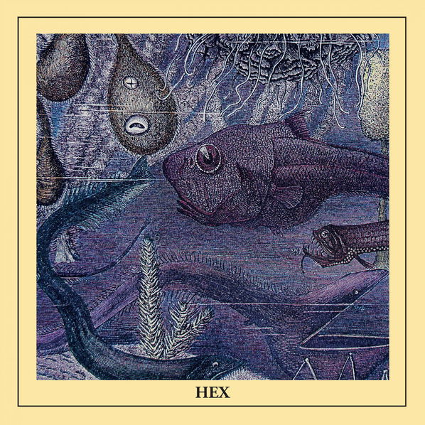 HEX: HEX-8584019291311