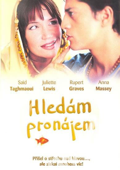 Hledám pronájem-8594034810756