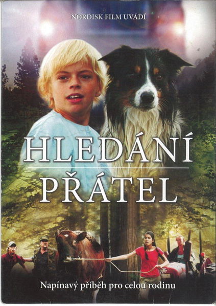 Hledání přátel-