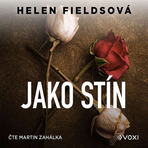 Jako stín (Fieldsová Helen - Zahálka Martin)-8594050435193