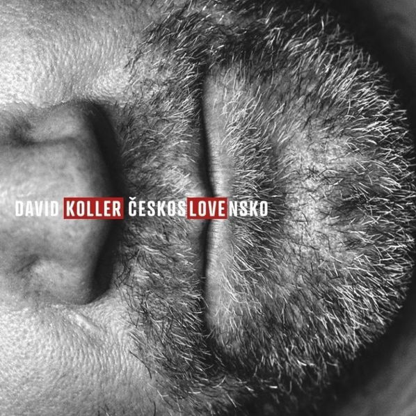 Koller David: ČeskosLOVEnsko-8594171280672