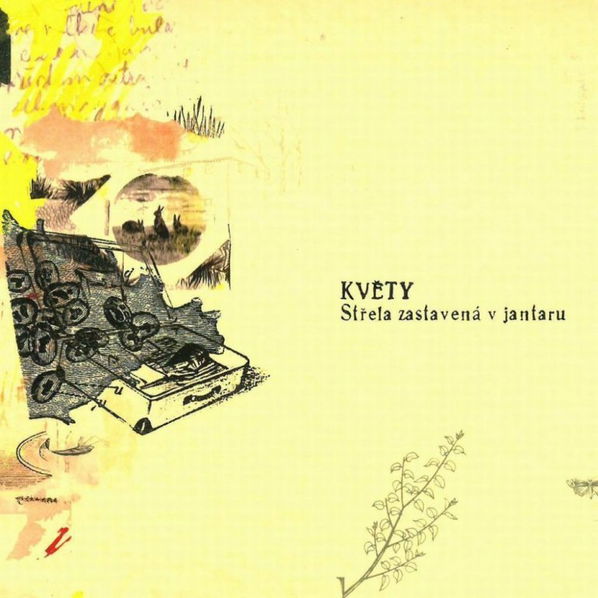 Květy: Střela zastavená v jantaru-8595026642423