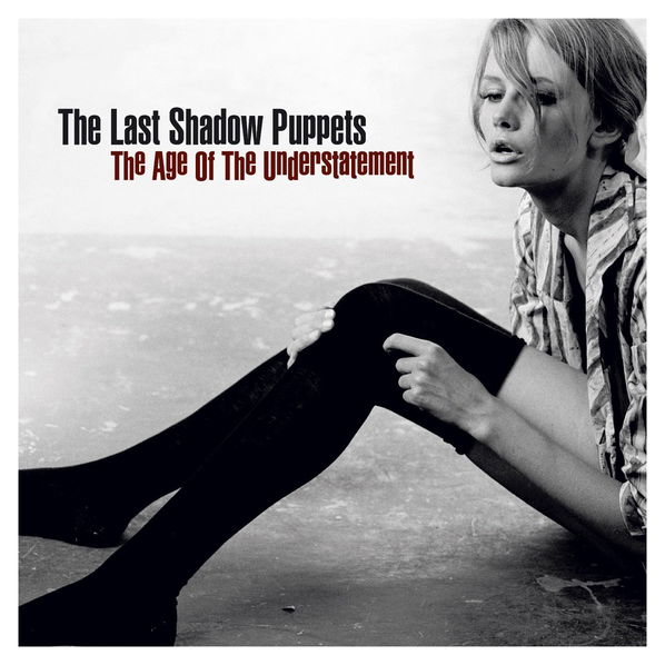 Last Shadow Puppets: Age Of The Understatement-5034202020813