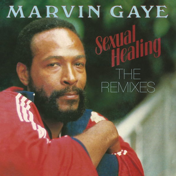 Marvin Gaye: Sexual Healing: The Remixes (Coloured Edition)-190758015217