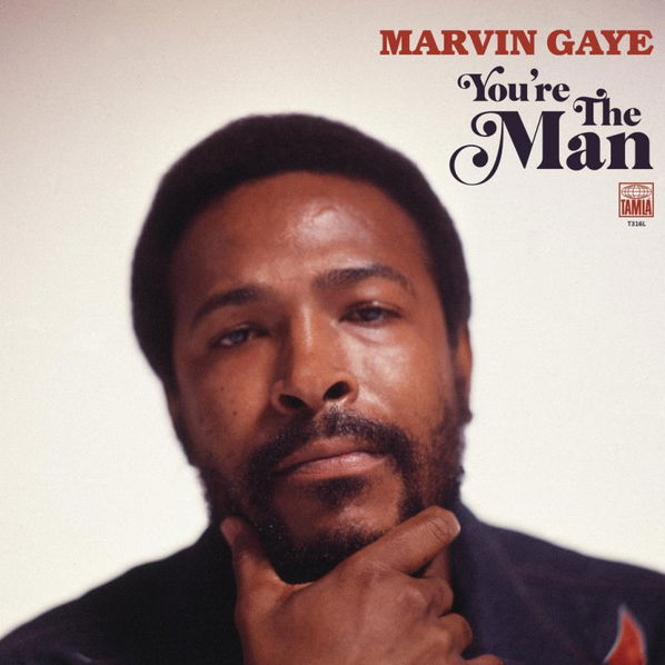 Marvin Gaye: You're The Man-602577584015