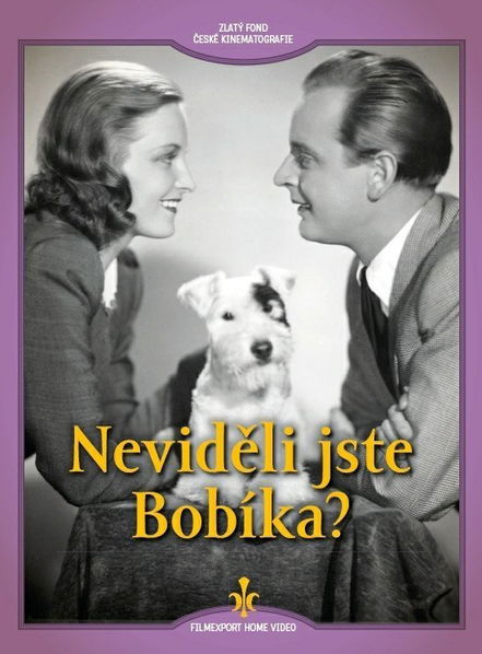 Neviděli jste Bobíka?-8595052208402