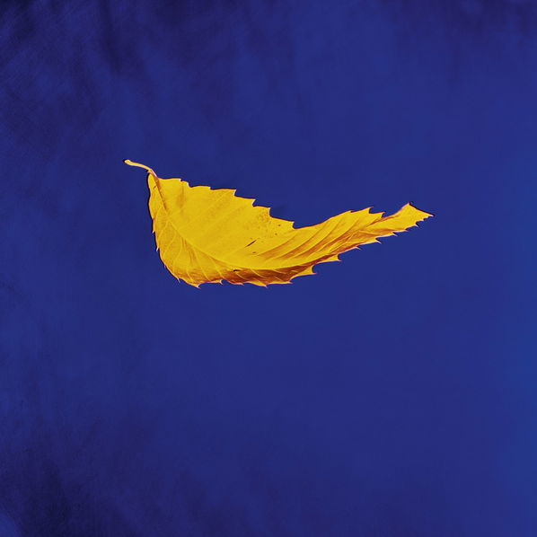 New Order: True Faith-5054197635700