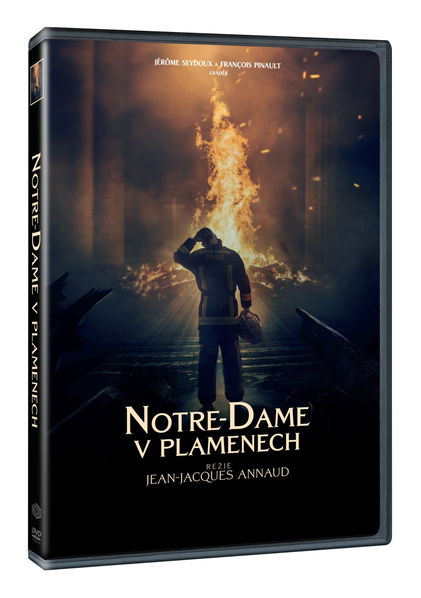 Notre-Dame v plamenech-8595165386462