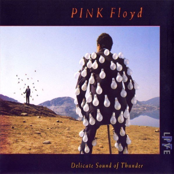 Pink Floyd: Delicate Sound Of Thunder-5099960919427