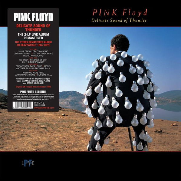 Pink Floyd: Delicate Sound Of Thunder-190295996932