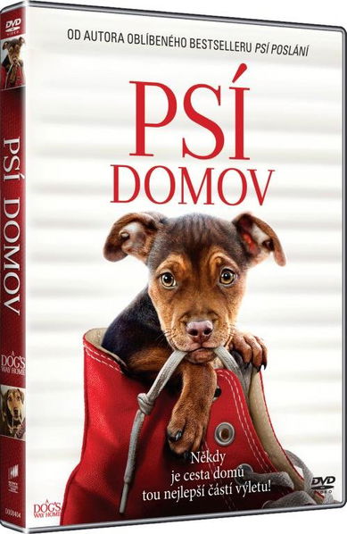 Psí domov-8596978584045