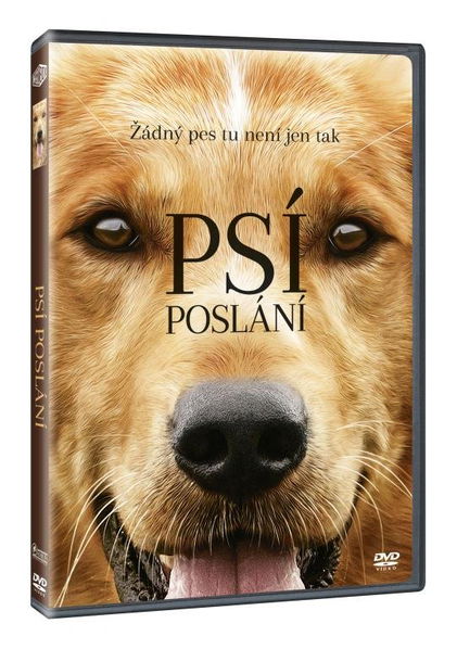 Psí poslání-8595165362541