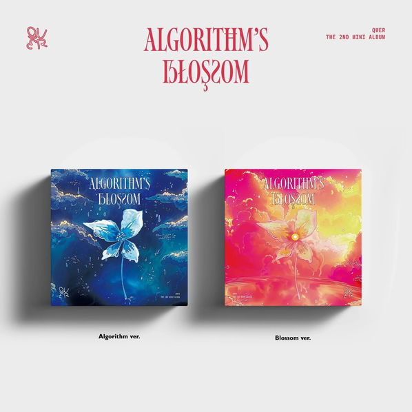 QWER: Algorithm’s Blossom-8804775451751