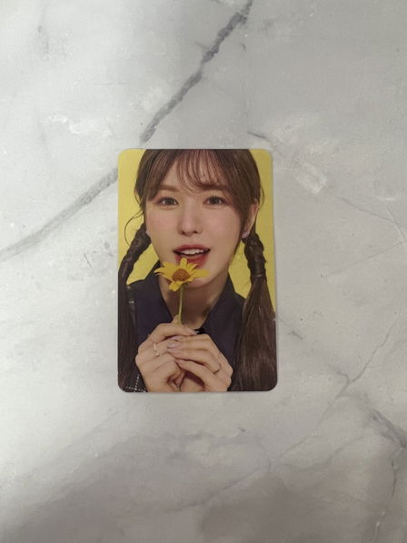 Red Velvet: 2023 Season's Greetings: Photocard-