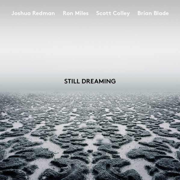 Redman Joshua: Still Dreaming-75597933086