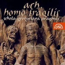 Schola Gregoriana Pragensis: Ach, homo fragilis-99925362324