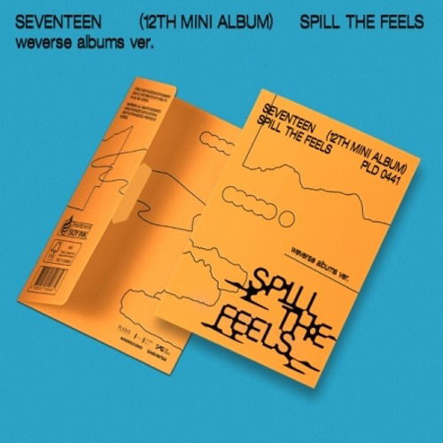 Seventeen: Spill The Feels-8800261890684