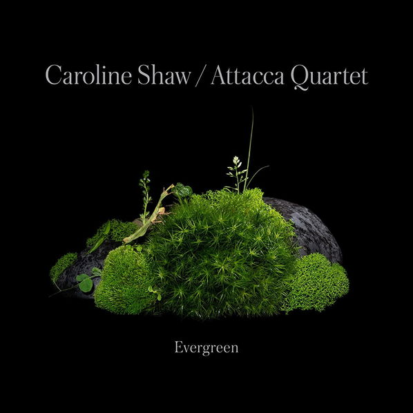 Shaw Caroline & Attacca Quartet: Evergreen-75597913507