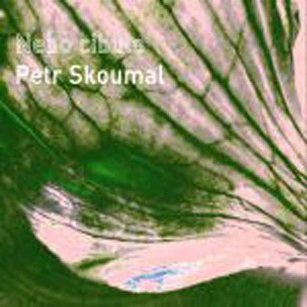 Skoumal Petr: Nebo cibule-8595026631823