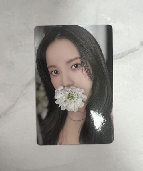 Solar (MAMAMOO): Colours: Photocard-