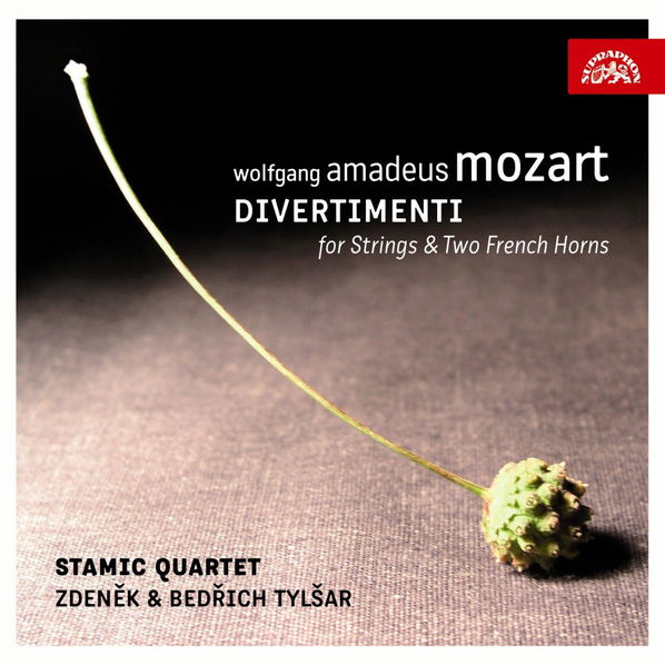 Stamic Quartet: Mozart: Divermenti For Strings & Two French Horns-99925397920