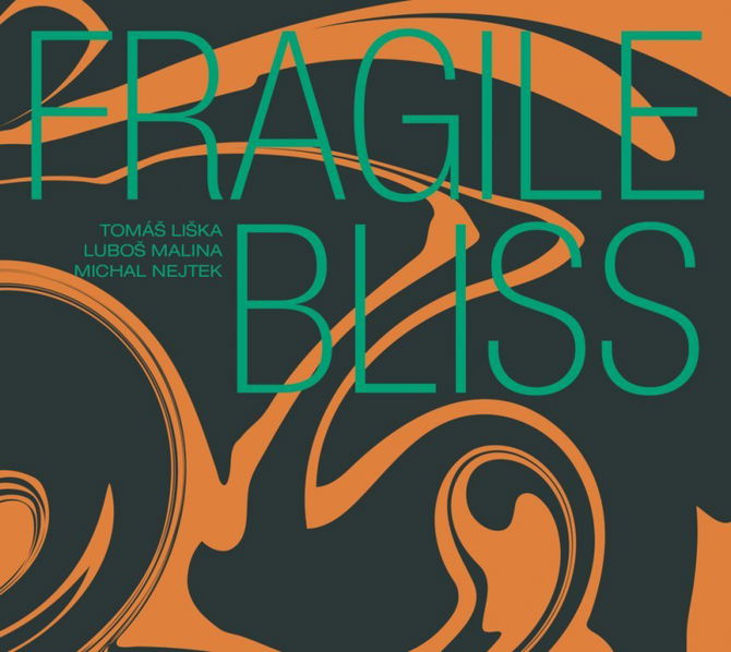 Tomáš Liška, Luboš Malina, Michal Nejtek: Fragile Bliss-8594155992904