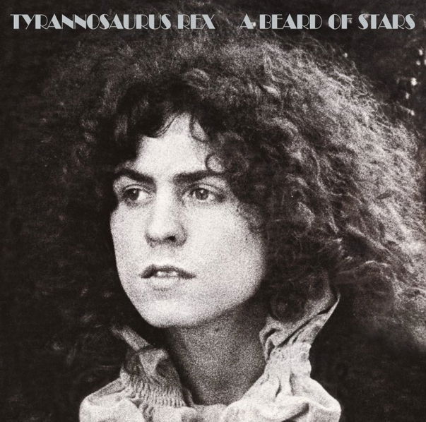 Tyrannosaurus Rex: A Beard of Stars-600753473368