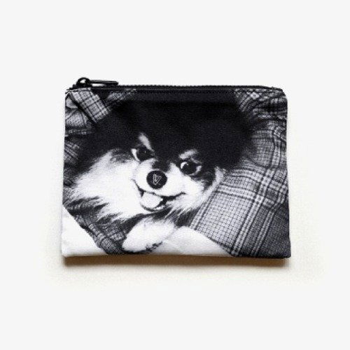 V (BTS): Layover: Reversible Pouch-8809929938171