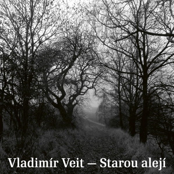 Veit Vladimír: Starou alejí-8594042902689