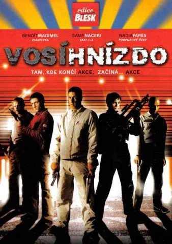 Vosí hnízdo-