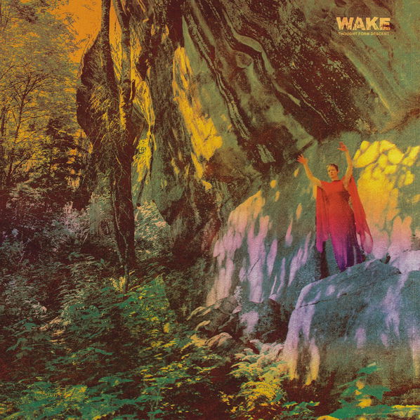 Wake: Thought From Descent-39841600629